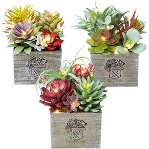 Succulent Plants Artificial 3 Pack Small Radiant in Wood Pot Home Decor